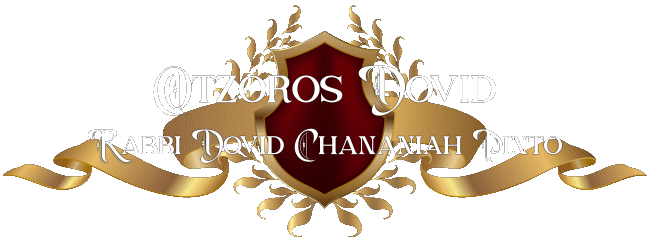 Otzoros Dovid